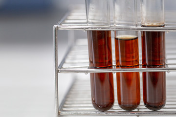Experiment of waste fermentation in laboratories.