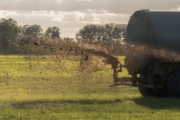 A farm tractor sprays its manure from the tanker onto a field. Manure is used as fertilizer in...