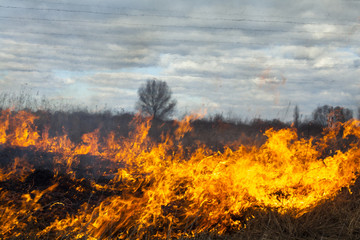 Obraz na płótnie Canvas Big fire in the field