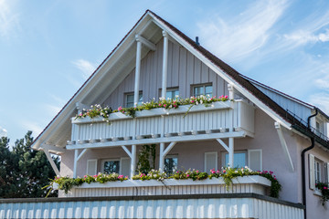 Pflanzen und Blumenkästen auf dem Balkon
