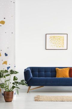 Poster above blue settee with cushions in white apartment interior with plant and rug. Real photo