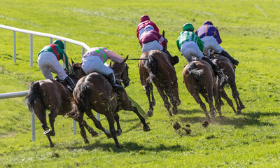 Race horses and jockeys racing around a corner of the race track kicking up dirt and grass