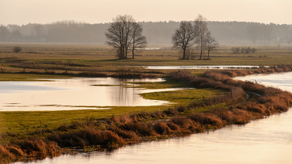 Jesienne rozlewiska rzeki Narew, Góra Strękowa © podlaski49