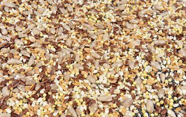 close up of a texture multigrain