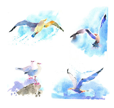 watercolor seagulls set
