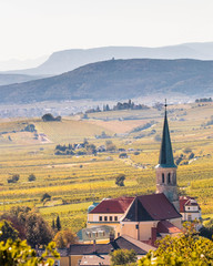 Wünderschöne Herbstlandshaft mit Kirche und Weingärten, Gumpoldskirchen