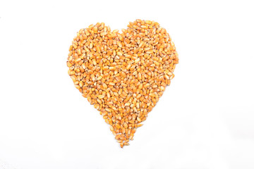 heart of corn isolated on white