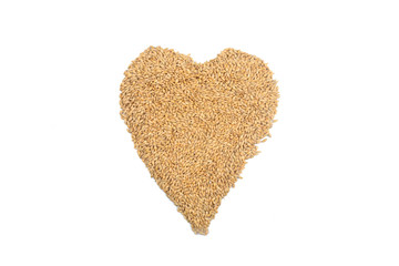 heart of barley isolated on white