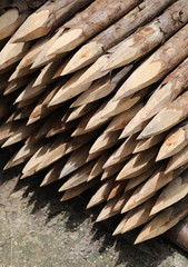 Closeup of a pile of sharp wooden poles for construction work. Vertical view.