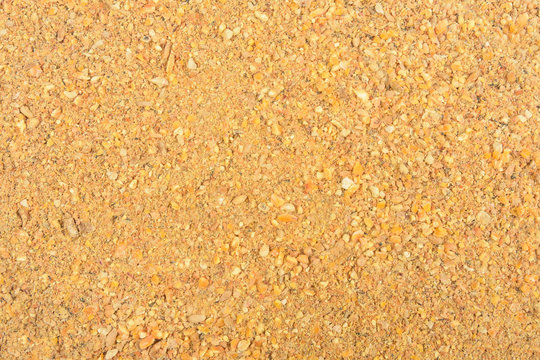 close up of feed for hen