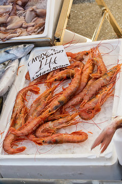 Shrimps in fish market in Greece