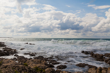 Stone Beach sea coast storm and bird