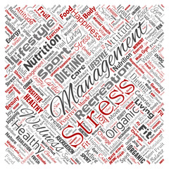 Vector conceptual healthy living positive nutrition sport square red word cloud isolated background. Collage of happiness care, organic, recreation workout, beauty, vital healthcare spa concept