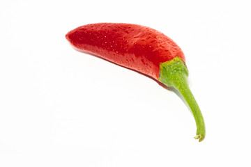 Paprikaschote