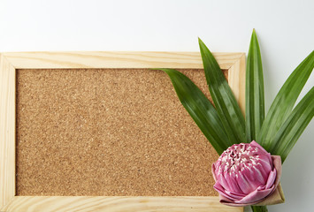 Pink lotus and cork board