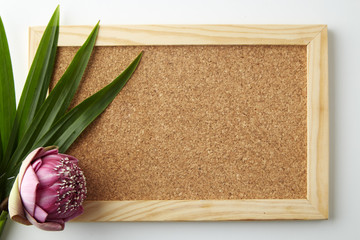 Pink lotus and cork board