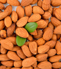  almonds on the white background