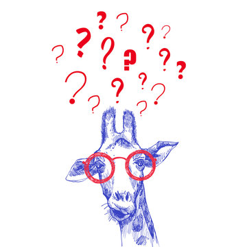 Sketch of the head of a giraffe facial head, hand drawn with question marks around the head