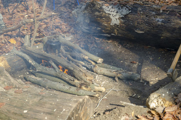 Making Tea in Camping