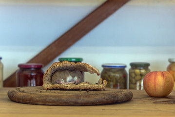 On a table stands a wooden board with a loaf of bread on it. The dough from the bread was eaten by mice and a mouse went to sleep there. Concept: animals or exterminator or pantry