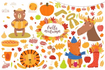 Foto op Aluminium Big autumn set with cute animals bear, lion, moose, fox, leaves, food. Isolated objects on white background. Hand drawn vector illustration. Scandinavian style flat design. Concept for children print. © Maria Skrigan
