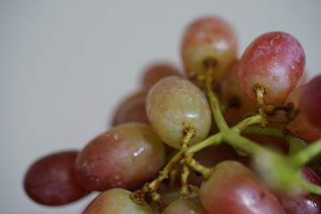 Weintrauben, rot
