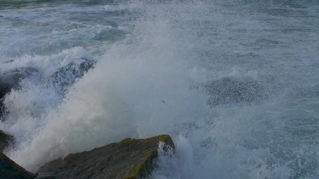 Temp&ecirc;te maritime