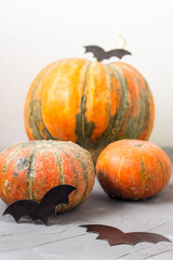 orange pumpkin and paper bats on white table, halloween concept