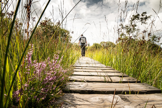 Wanderung im Hochmoor Hohes Venn