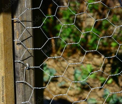 Grillage à Pouledétailenclospoulailler Stock Photo And Royalty