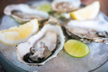 Tasty fresh oysters close-up on ice. Raw oysters are packed with nutrition, high in calcium, potassium, magnesium, vitamin and mineral. Flavor are sweet and refreshing. Believed to be an aphrodisiac.