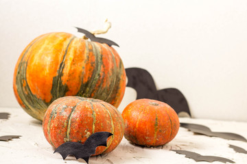 orange pumpkin and paper bats on white table, halloween concept