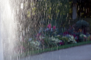 Water sprays from the fountain on the background of the flower soft focus