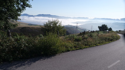 SAMSUNG CAMERA PICTURES