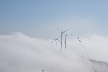 SAMSUNG CAMERA PICTURES © Mateusz