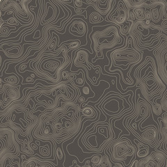 Topographic map background concept with space for your copy.