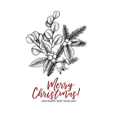 Hand drawn Christmas plants. Vector pine branch, fir, eucalyptus, holly and cotton. Xmas greenery bouquet. New Year greeting card. Winter seasonal greetings, party, celebration.