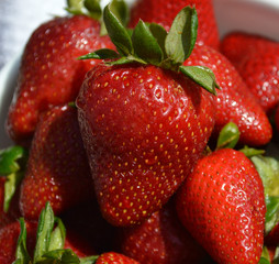 Fresh Strawberries
