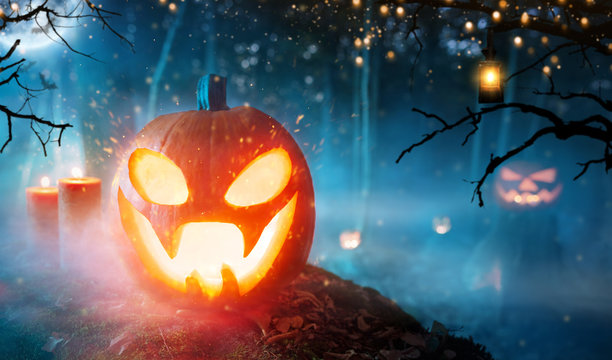 Spooky halloween pumpkins in forest