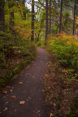 Naklejka premium Oregon hiking trail in Autumn