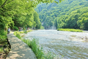 初夏の山と川の風景