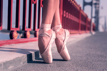 Being ready. Nice female ballet dancer wearing pointe shoes while dancing alone on the bridge © Viacheslav Yakobchuk