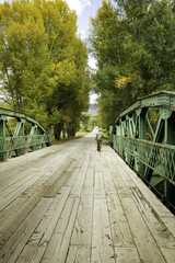 Fisherman walking across bridge