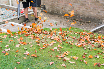 Man using a leaf blower to tidy a garden lawn