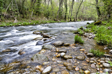 Rio Arenal en primavera