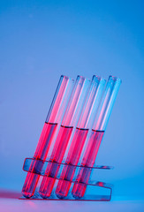 Test tubes i pink and blue light