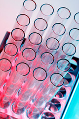 Test tubes i pink and blue light