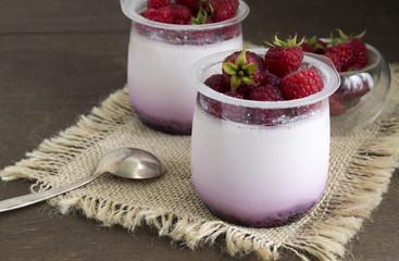 Homemade healthy diet yogurt with raspberries. selective focus