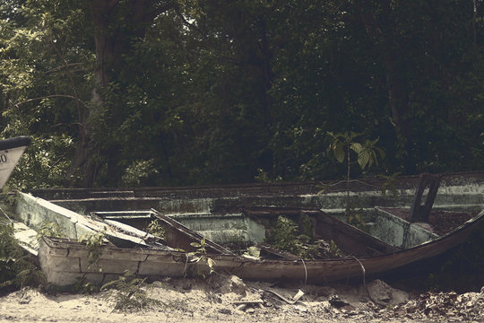 Abandoned Boat surrounded by jungle | Washed up on beach