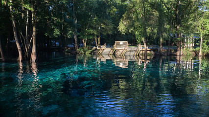 Fototapeta na wymiar Wooden staircase going down in the turquoise water in a lagoon of Ginnie Springs. Cypress forest in Santa Fe river right side